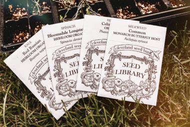 On some seedling trays rests a bundle of black and white seed packets including: milkweed, spinach, carrots, beans and kale. All packets are from the Cleveland Seed Bank