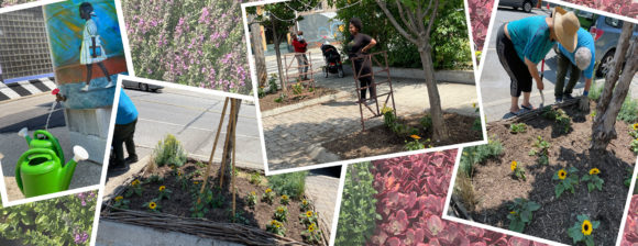 Various snapshots of gardeners and gardens from The Green palette project